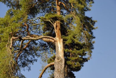 bearbeitet, farbenfroher