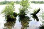 Heiliger See (10)