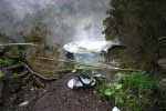 Toter Fisch (1)