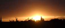 Sonnenaufgang (1)