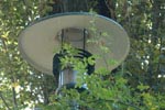 Lampe (3)