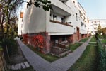 Fisheye (1)