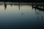 Wasser (8)