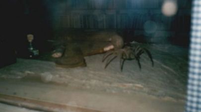 Schreibtisch 1995