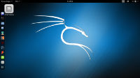 Kali Linux (nach der Installation)