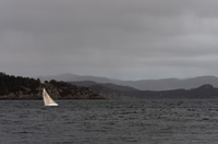 Segelboot im grauen Wind