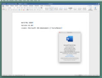 Word Mac Ansicht Fokus schwarz